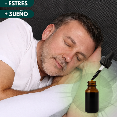 ASHWAGANDHA DUAL EXTRACTION – RELAJACIÓN TOTAL PARA TU MEJOR DESCANSO